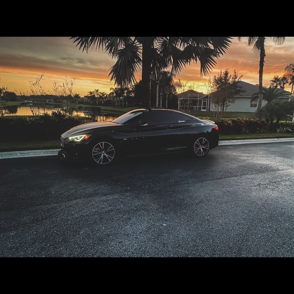 Meet your Posher, Jesse - Picture 1 of 1